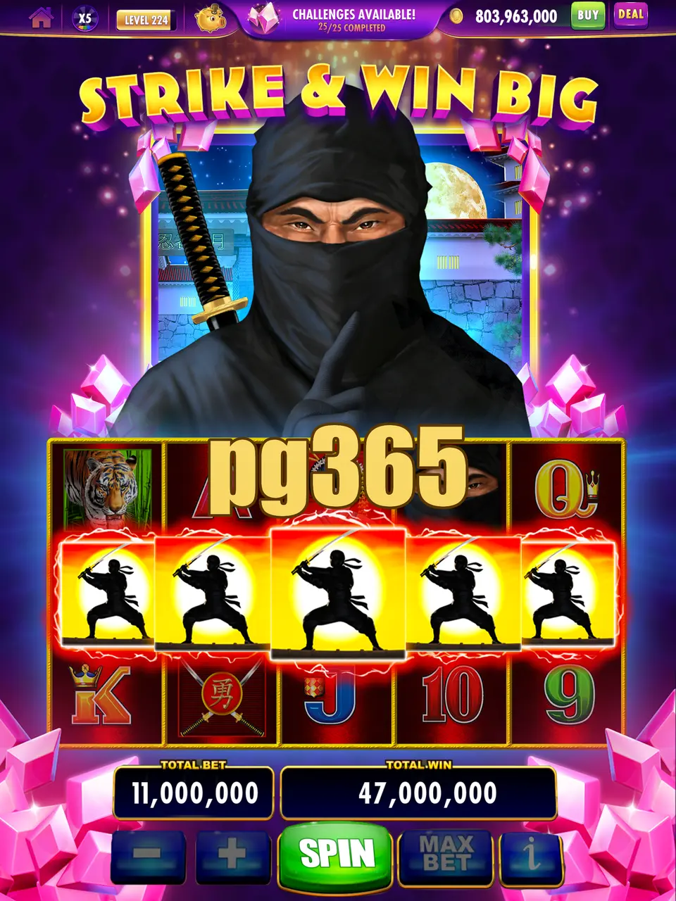 pg365 Login