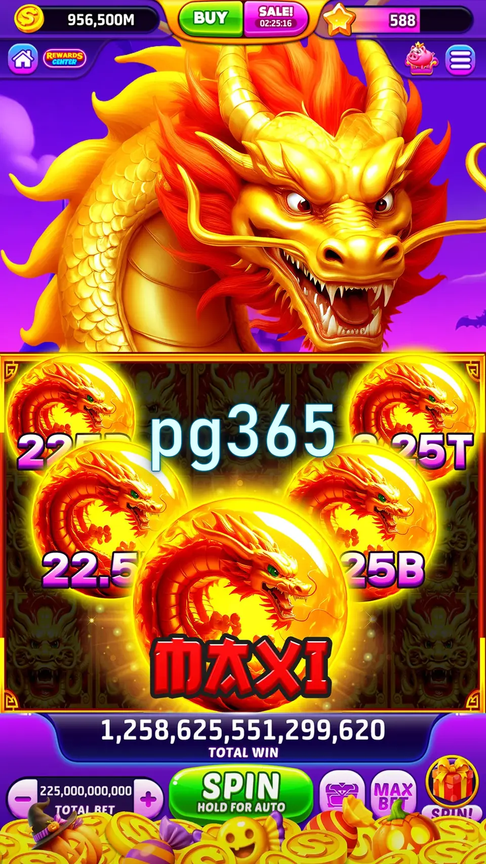 pg365 Login