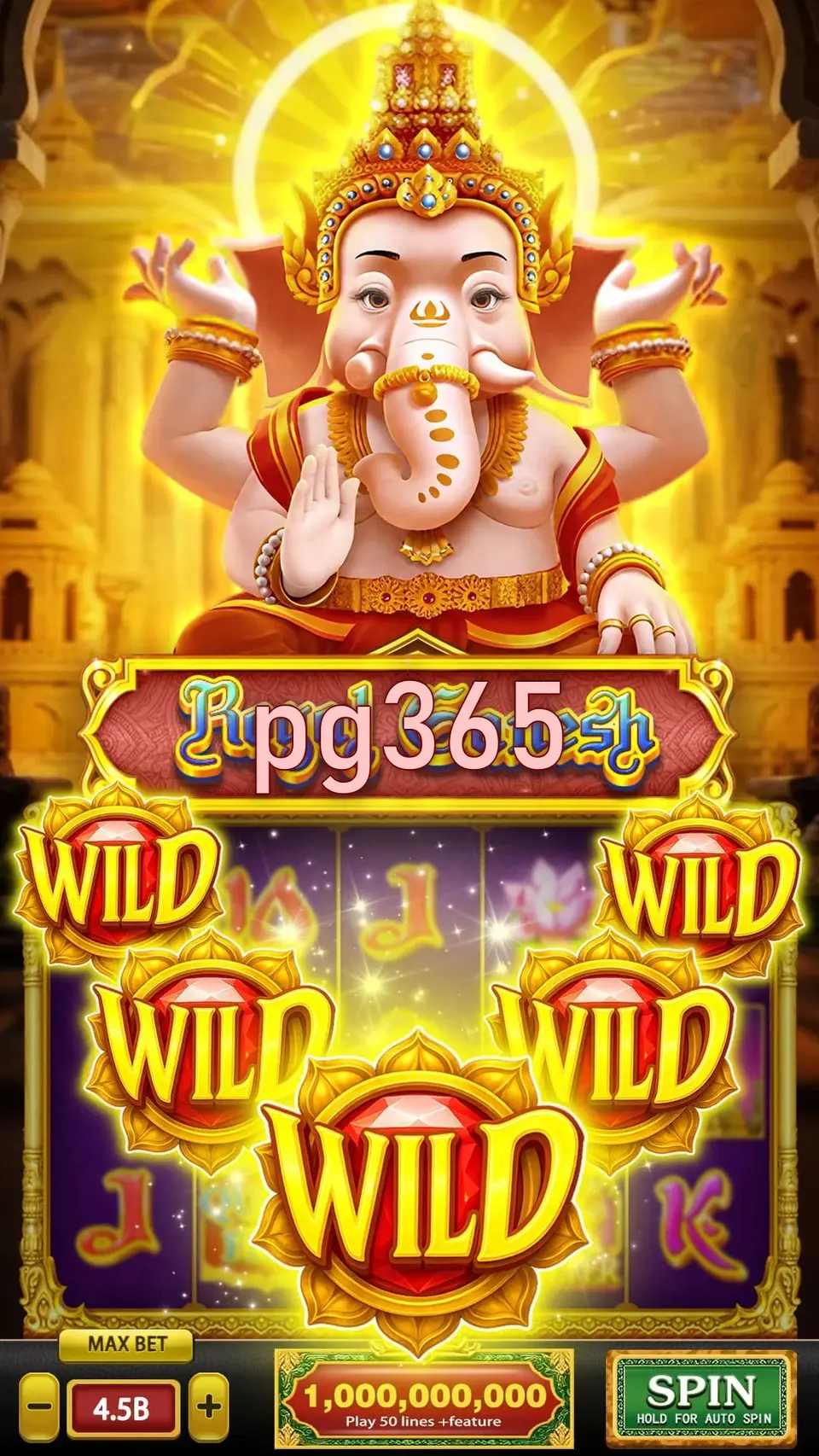 pg365 Login